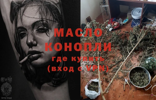 сатива Алзамай
